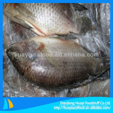 Tilapia IWP limpiada entera congelada